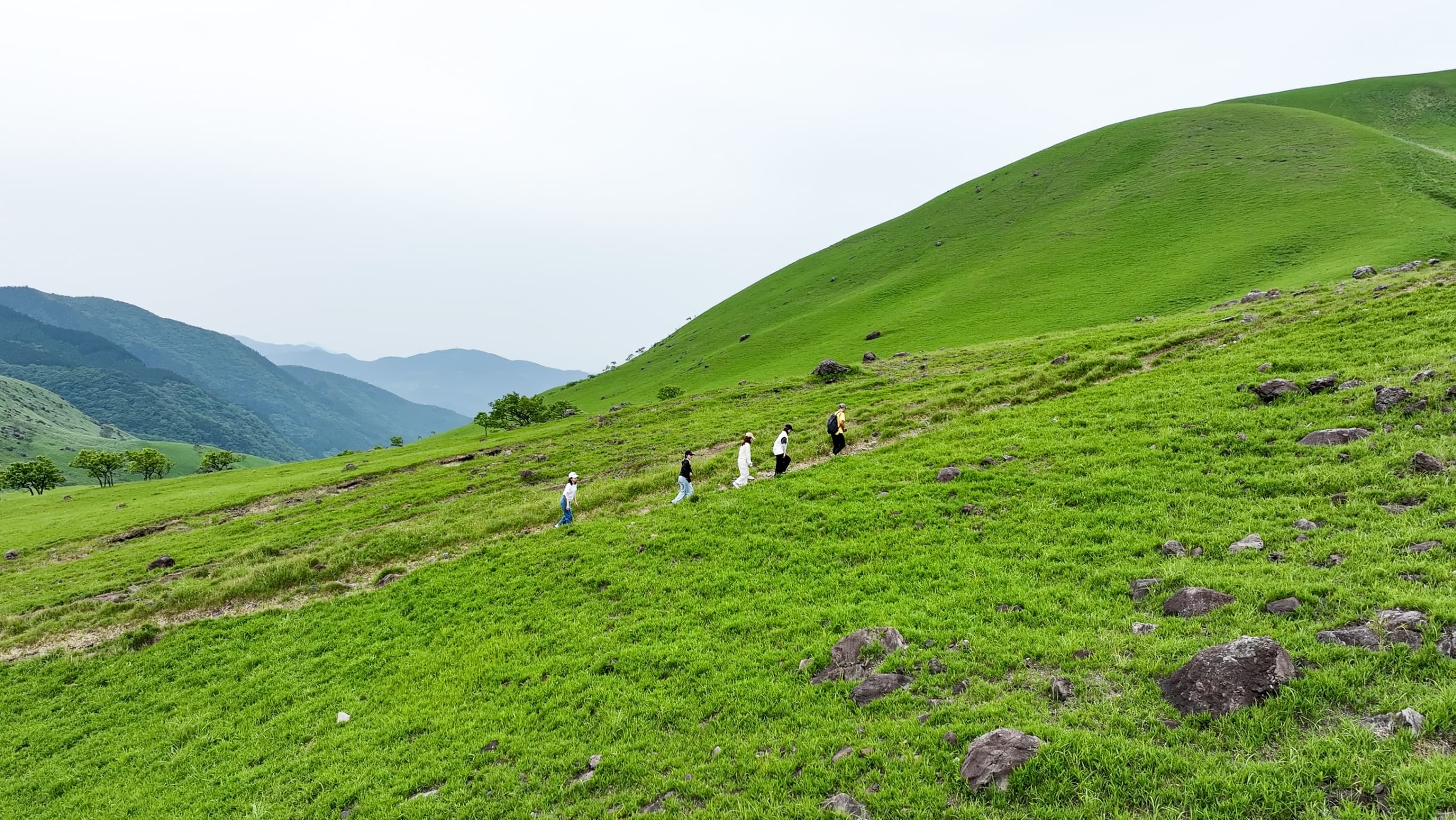 旅くらす由布院のプレミアムツアーTOP